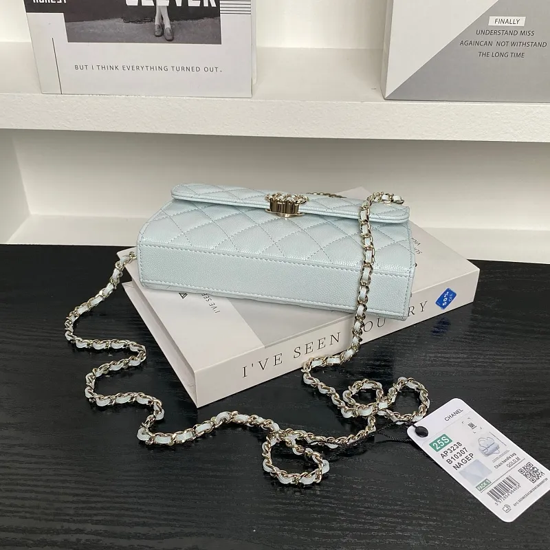 All Categories Chanel Women's Bags 2 (Chanel) Chanel Original Order AP3328