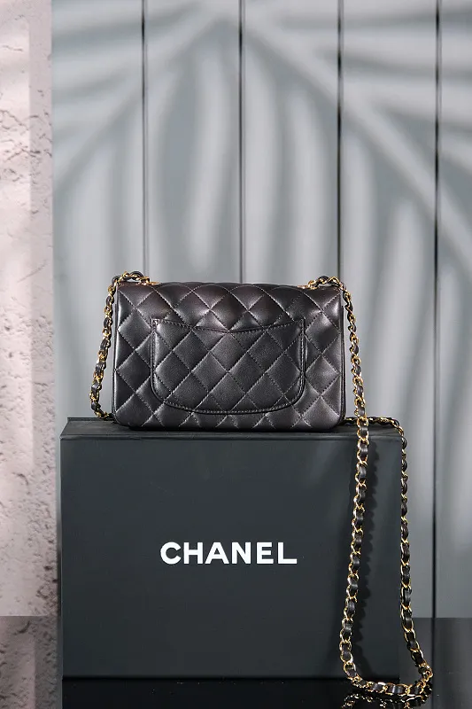 All Categories Chanel Women's Bags (Chanel) Chanel 252