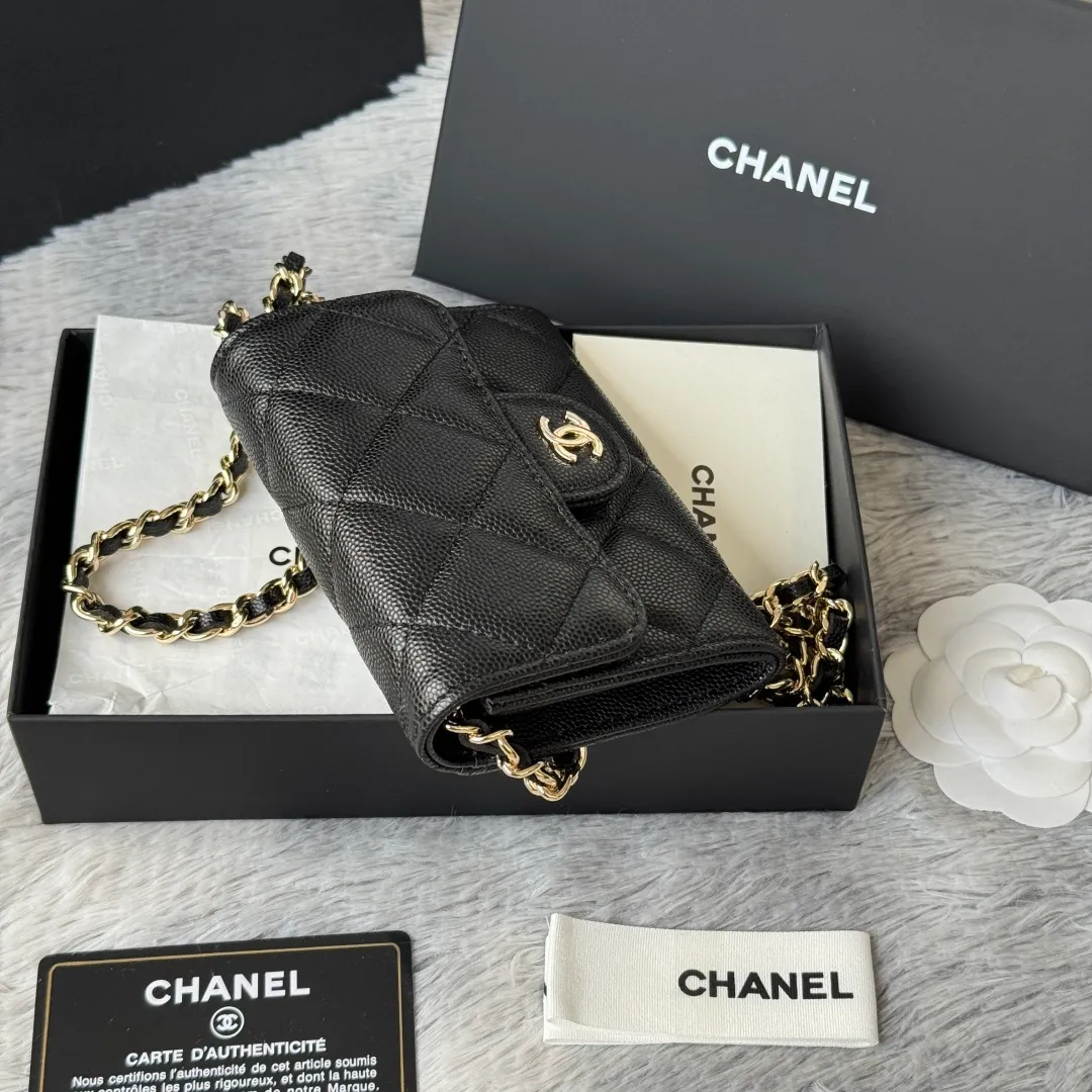 All Categories Chanel Women's Bags (Chanel) Chanel 0238