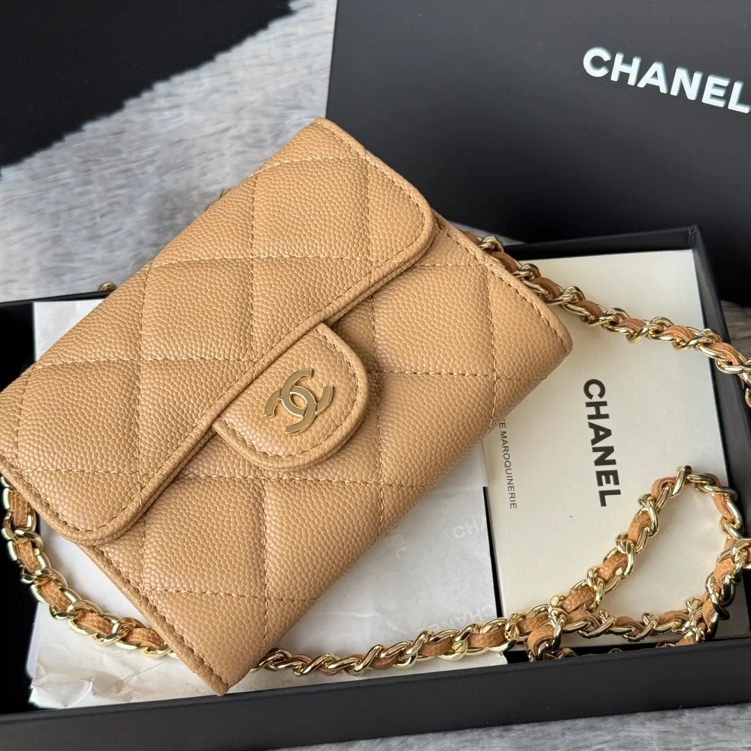 All Categories Chanel Women's Bags (Chanel) Chanel 0238