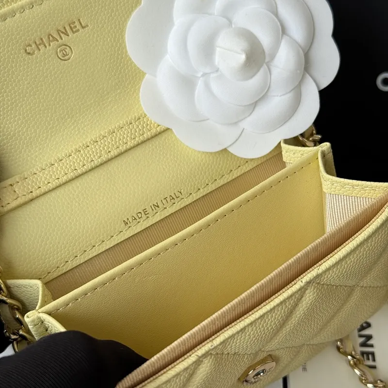 All Categories Chanel Women's Bags (Chanel) Chanel 0238