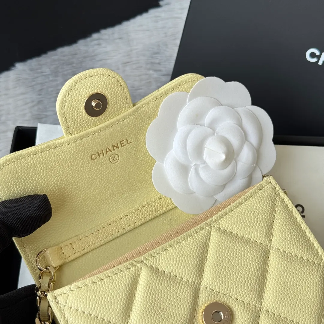 All Categories Chanel Women's Bags (Chanel) Chanel 0238
