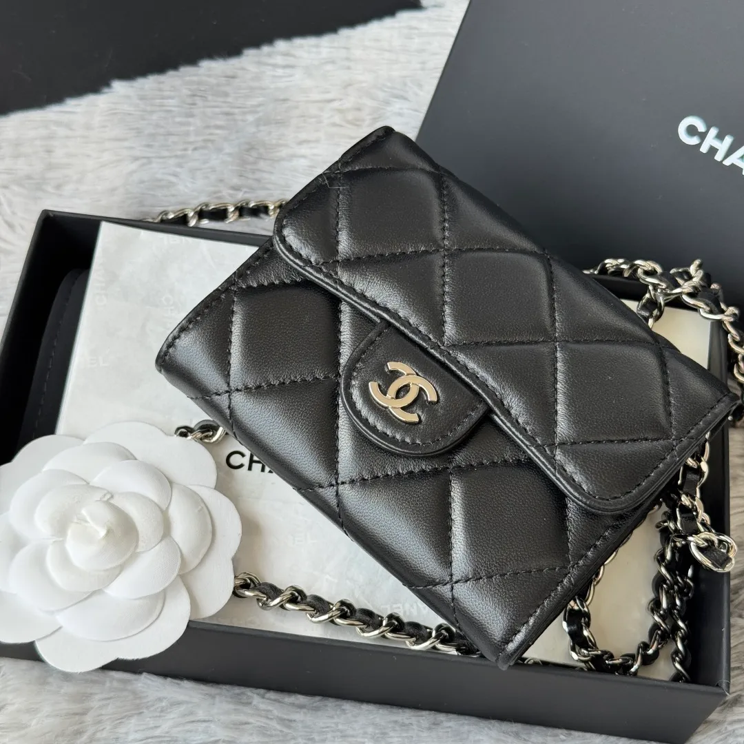All Categories Chanel Women's Bags (Chanel) Chanel 0238
