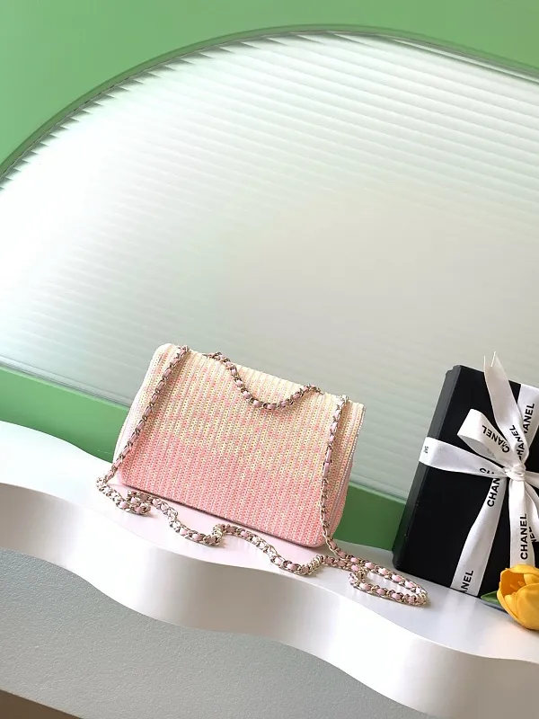 All Categories Chanel Women's Bag 2 (Chanel) Chanel Original Order AS5957