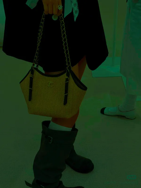 All Categories Chanel Women's Bags (Chanel) Chanel 3020