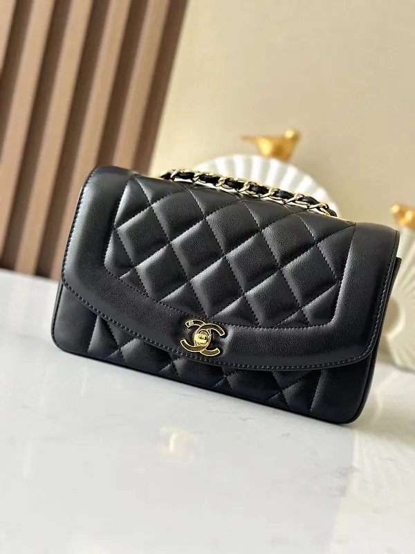 All Categories Chanel Women's Bags 2 (Chanel) Chanel Original Order A2221