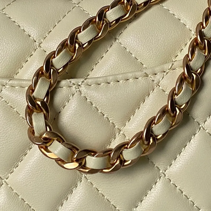 All Categories Chanel Women's Bags 2 (Chanel) Chanel Original Order AS5813