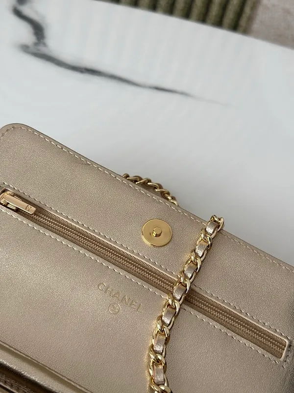 All Categories Chanel Women's Bags (Chanel) Chanel 0250