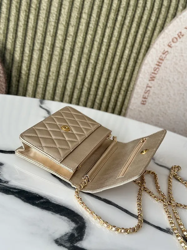 All Categories Chanel Women's Bags (Chanel) Chanel 0250