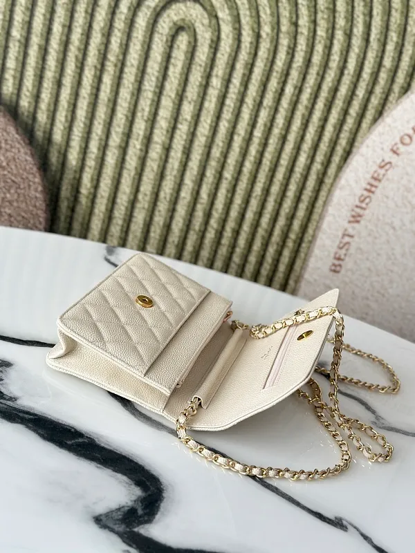 All Categories Chanel Women's Bags (Chanel) Chanel 0250