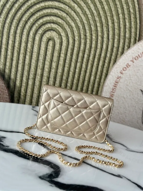 All Categories Chanel Women's Bags (Chanel) Chanel 0250
