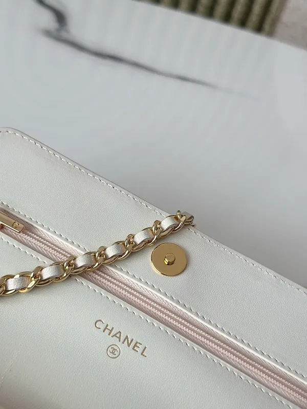 All Categories Chanel Women's Bags (Chanel) Chanel 0250