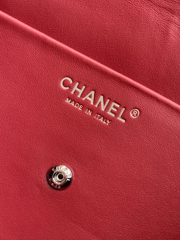 All Categories Chanel Women's Bag 2 (Chanel) Chanel Original Order AS6231