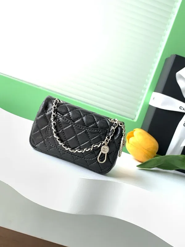 All Categories Chanel Women's Bag 2 (Chanel) Chanel Original Order SP4850