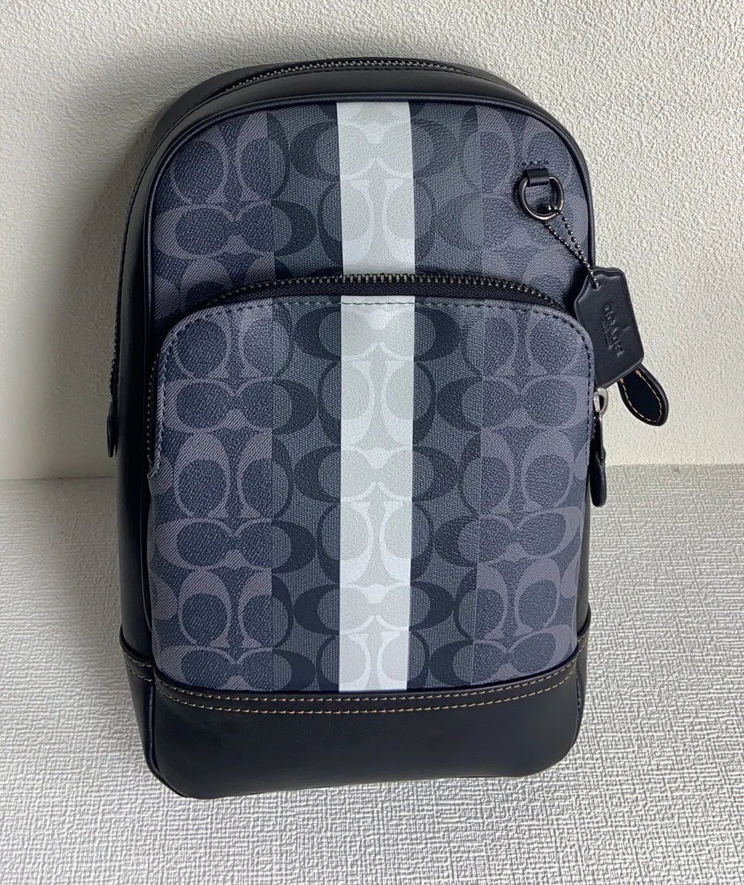 All Categories Coach Men's Bags (COACH) Coach C3229