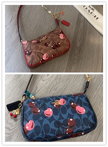 All Categories Coach Men's Bags (COACH) Coach CZ011
