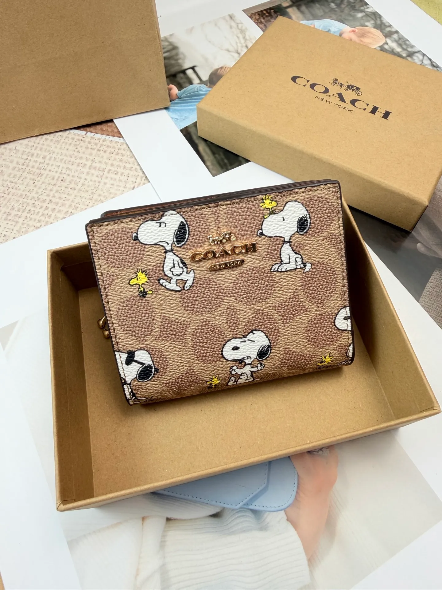 All Categories Coach Wallet (COACH) Coach C4591