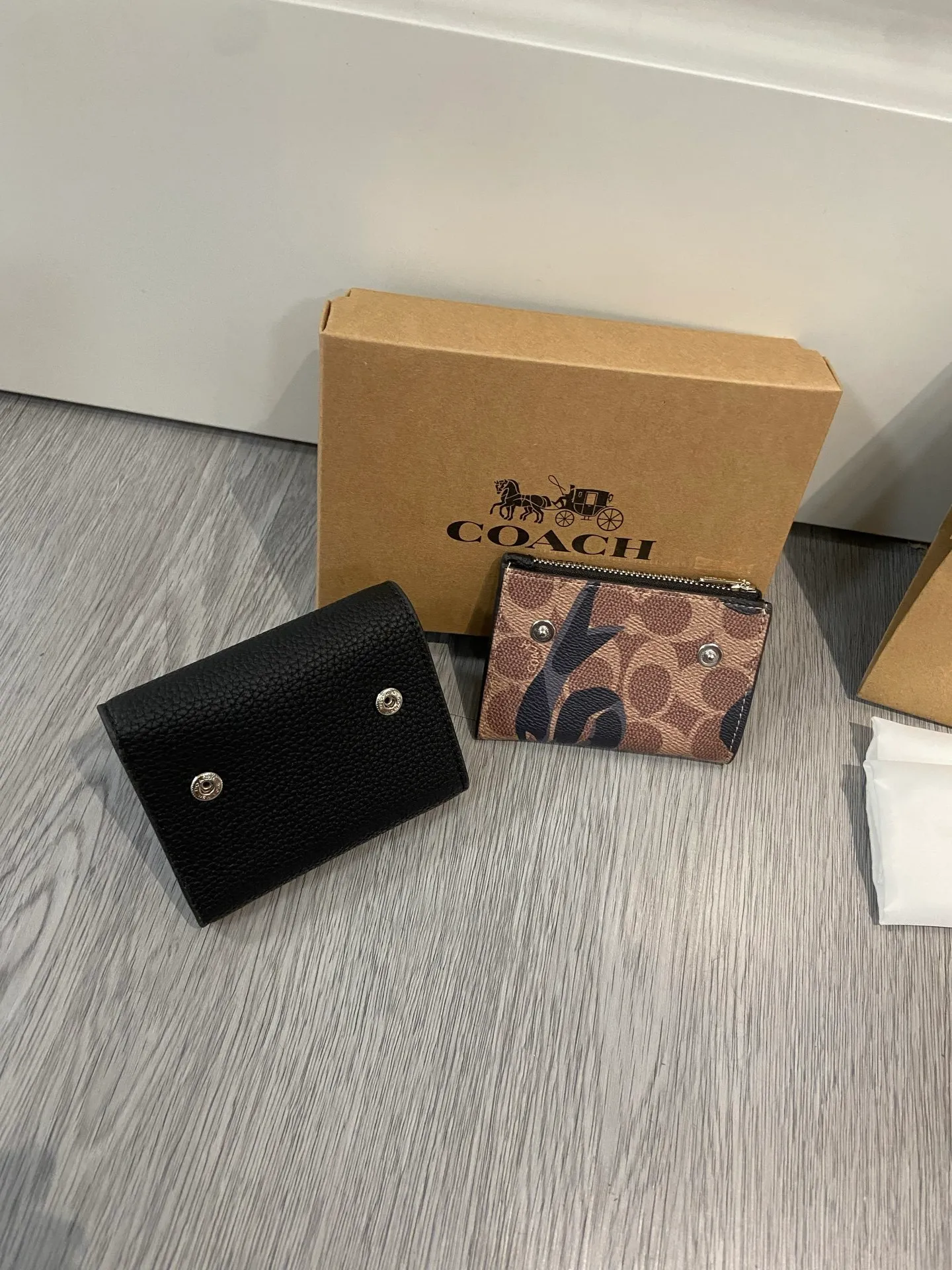 All Categories Coach Wallet (COACH) Coach CZ111