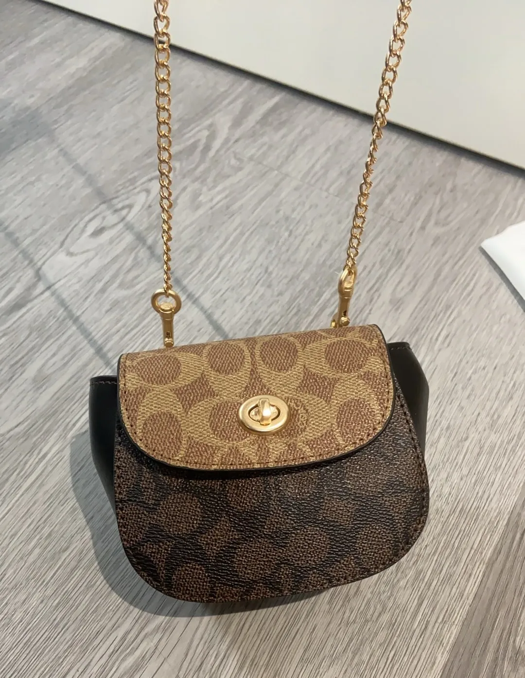 All Categories Coach Women's Bags (COACH) Coach CZ018