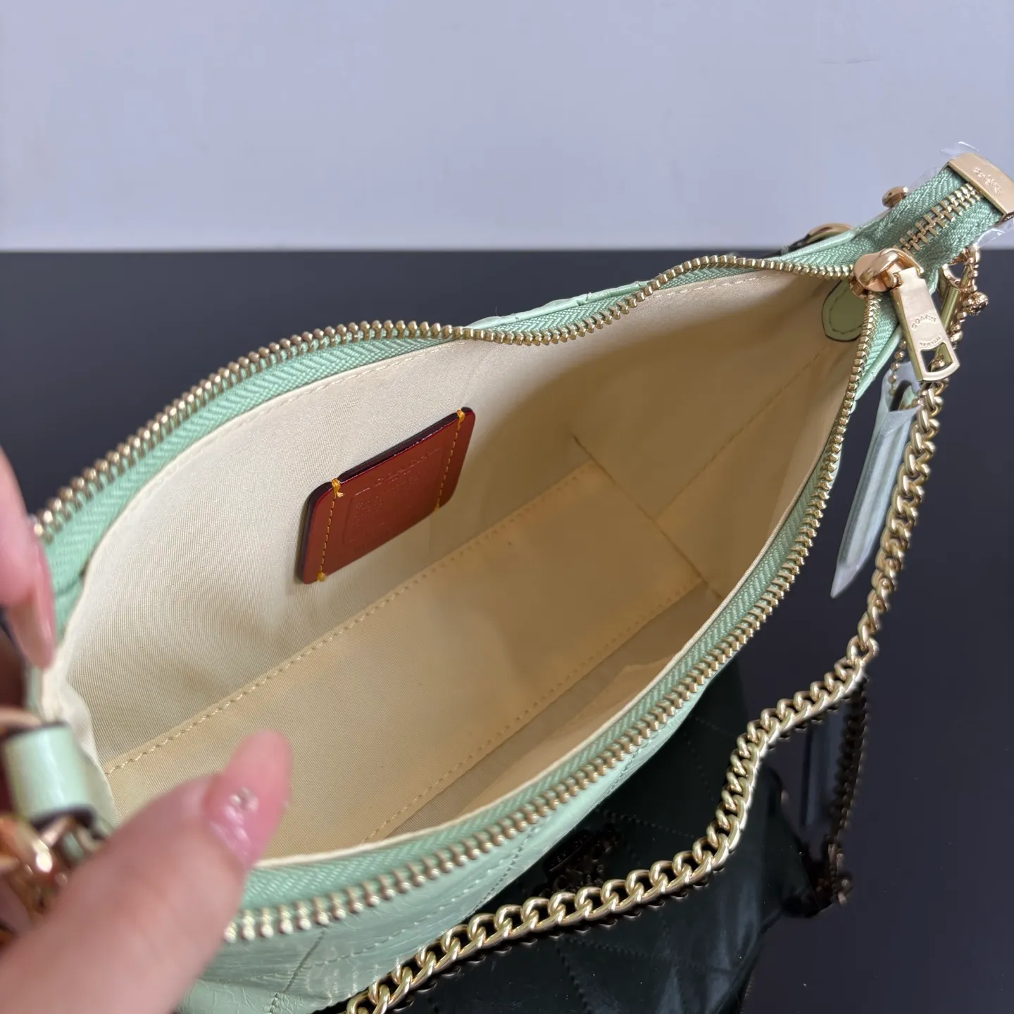 All Categories COACH Women's Bags COACH CDZ88