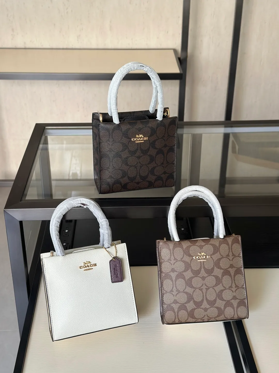 All Categories Coach Women's Bags (COACH) Coach C21845693C2183