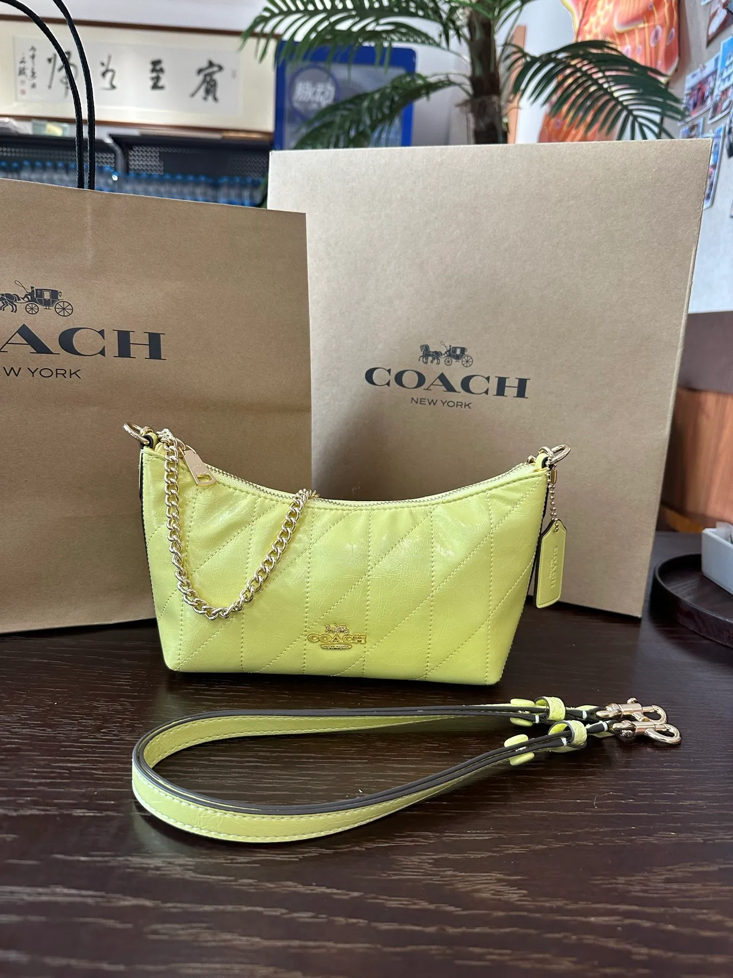 All Categories COACH Women's Bags COACH CEK80