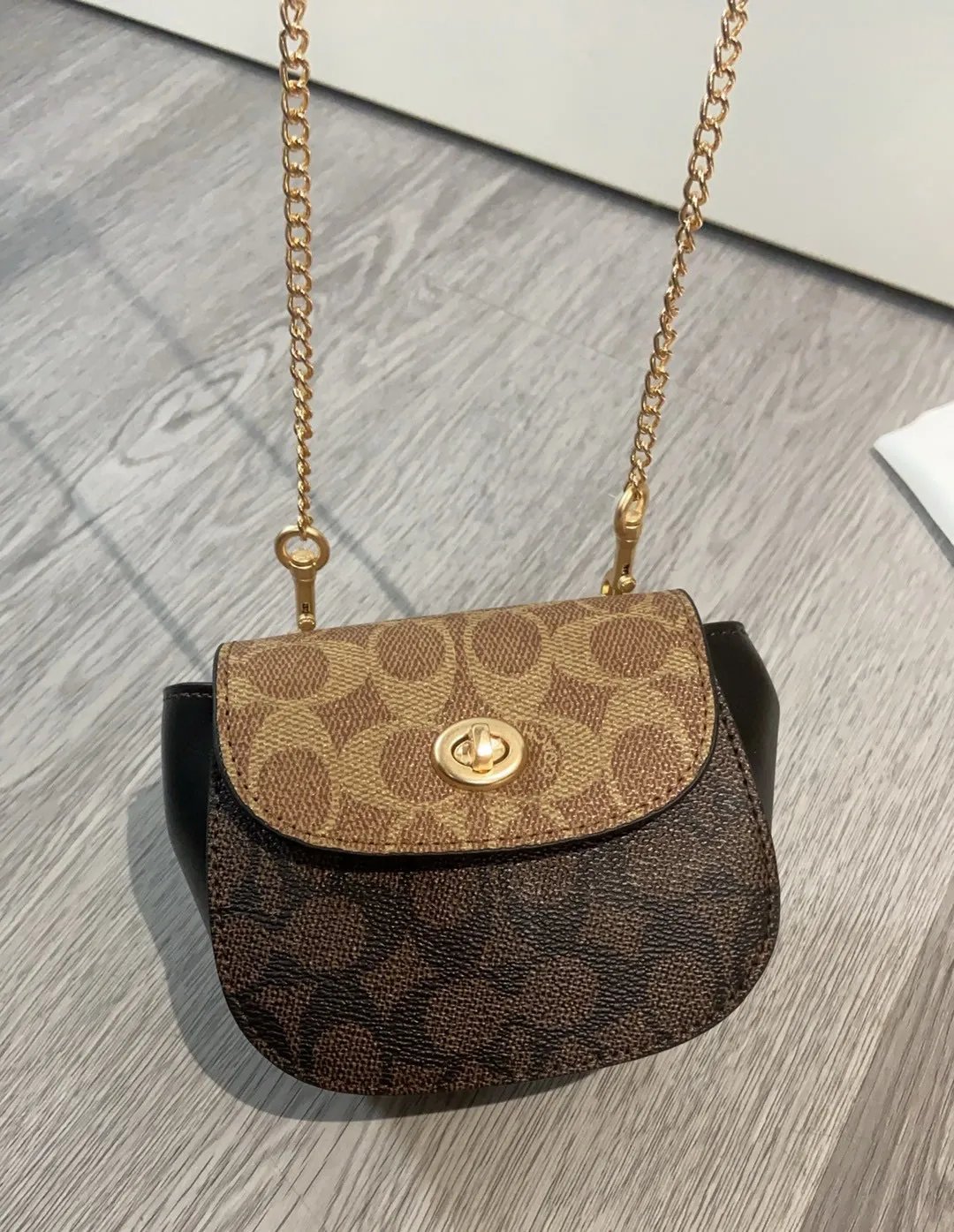 All Categories Coach Women's Bags (COACH) Coach CZ018
