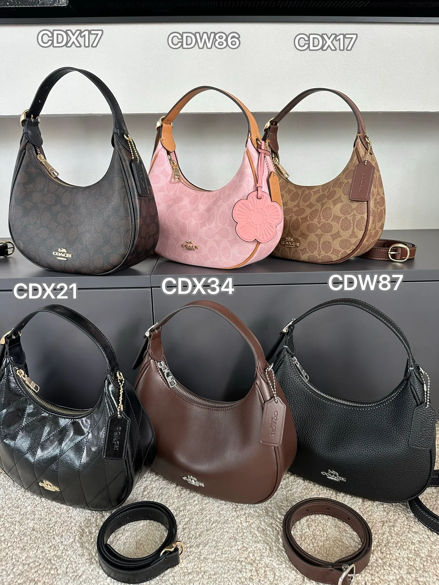 All Categories COACH Women's Bags COACH CDW86