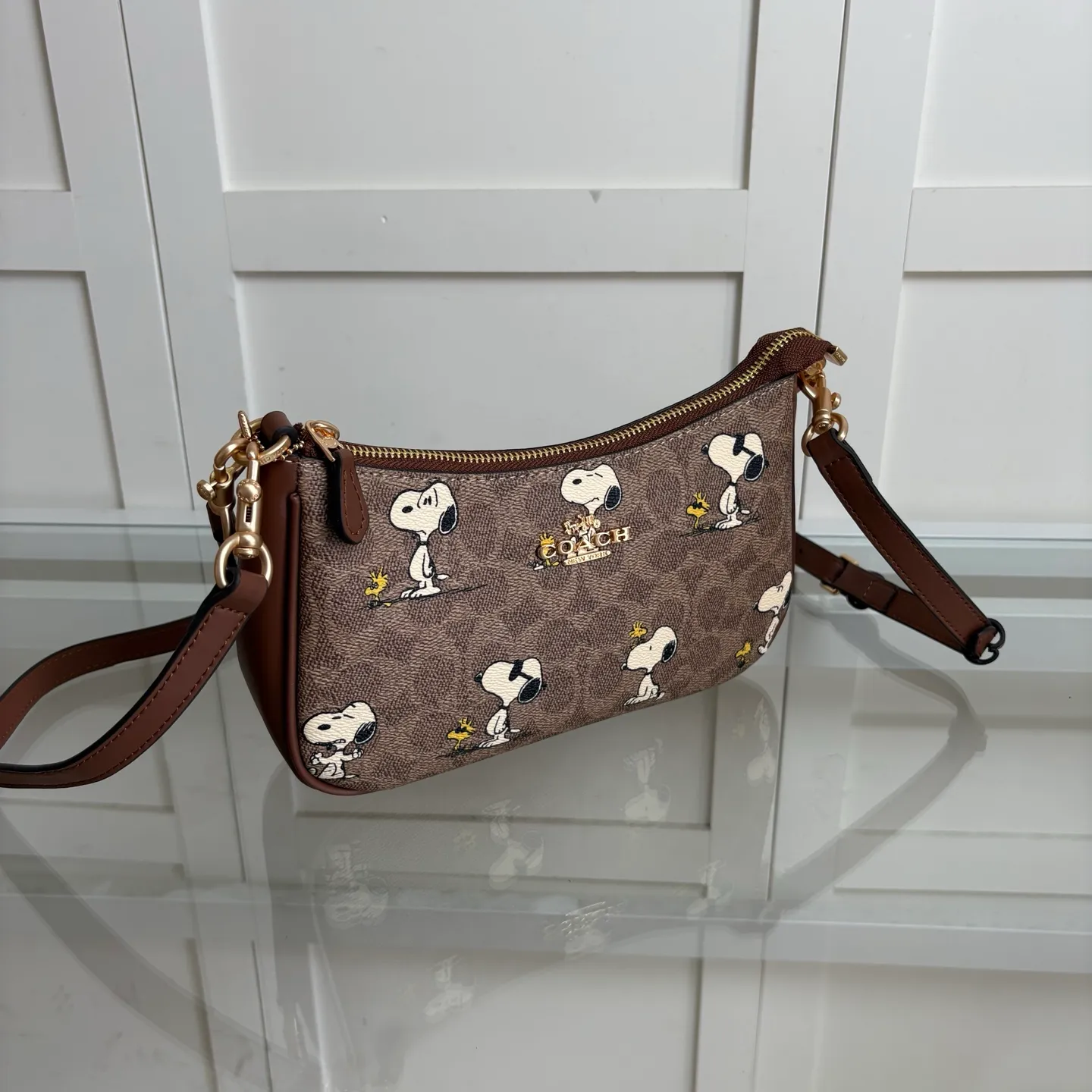 All Categories COACH Women's Bags COACH CBJ88