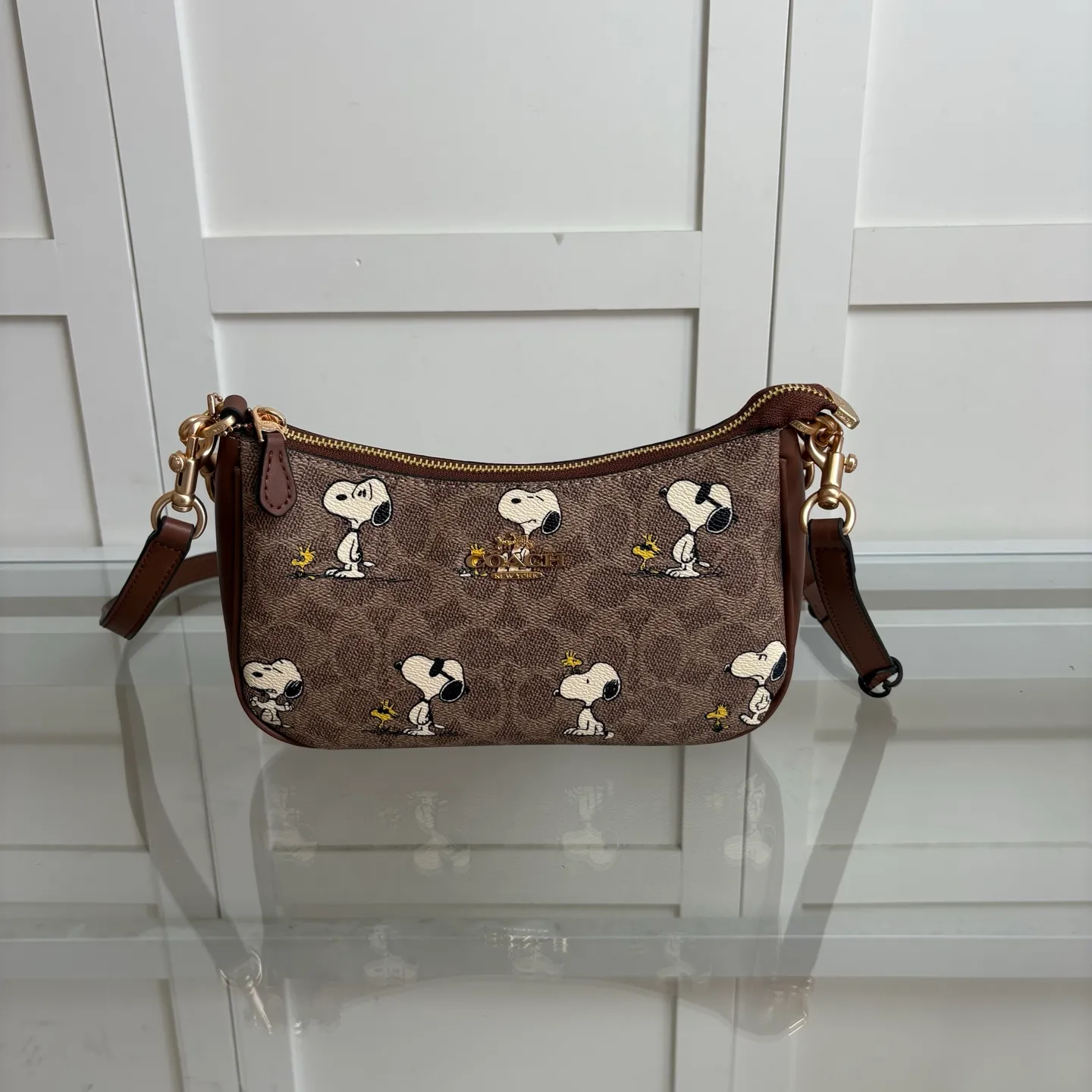 All Categories COACH Women's Bags COACH CBJ88