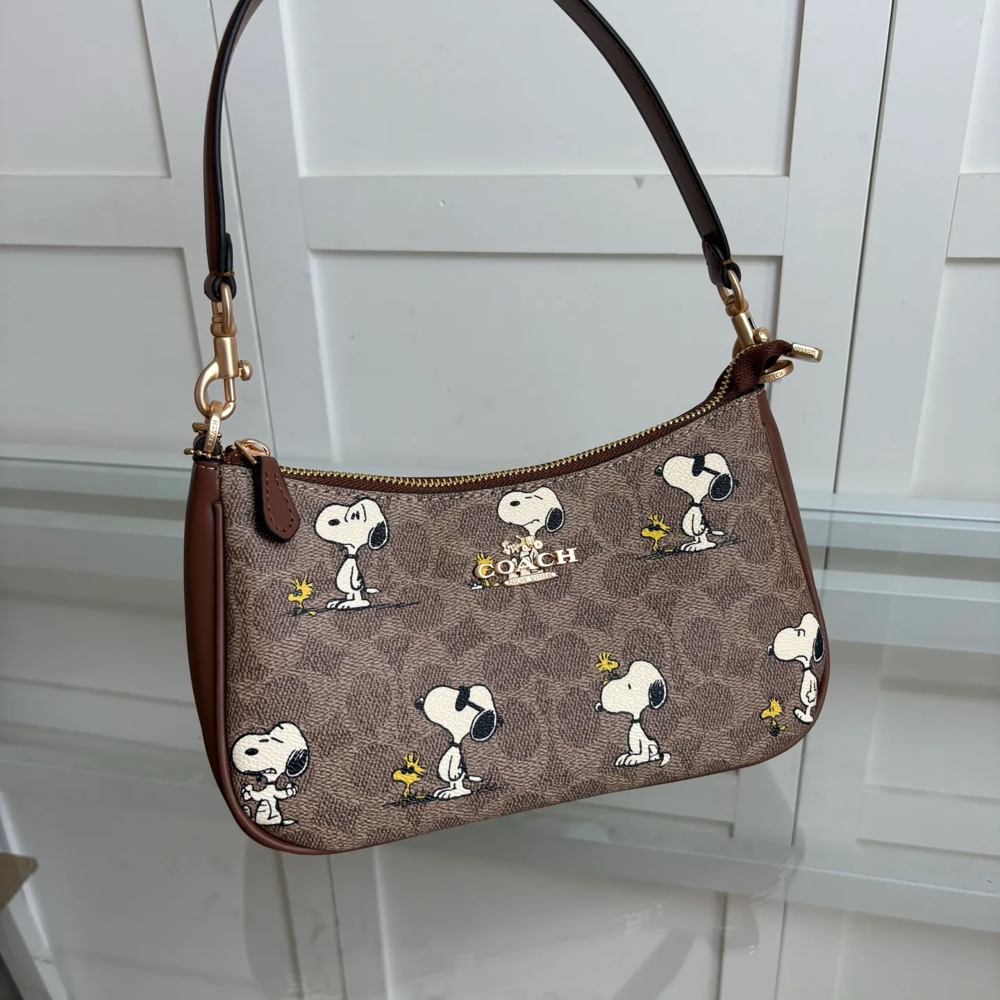 All Categories COACH Women's Bags COACH CBJ88