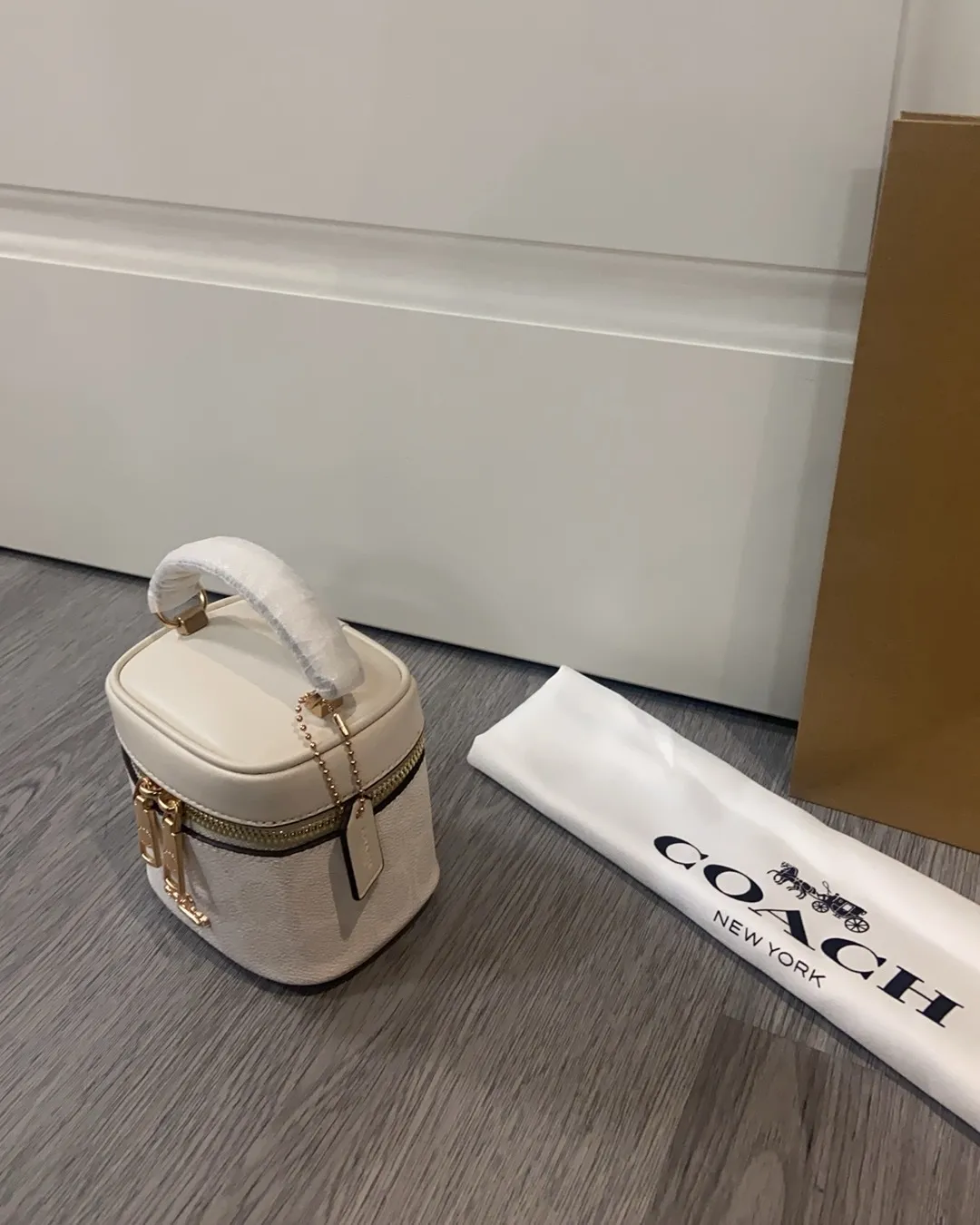 All Categories Coach Women's Bags (COACH) Cy732