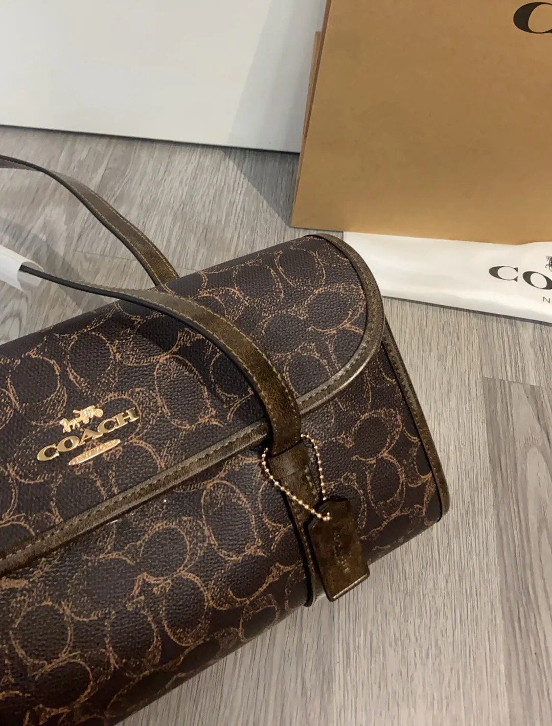 All Categories COACH Women's Bags COACH CDY20