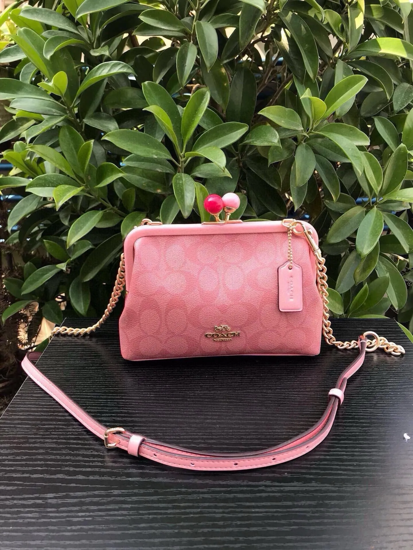 All Categories Coach Women's Bags (COACH) Coach 1452