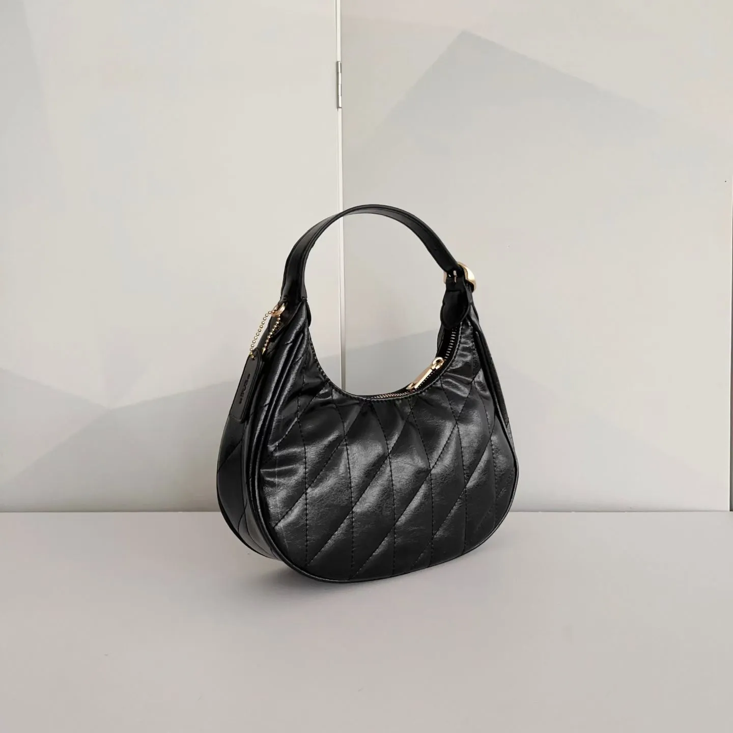 All Categories Coach Women's Bags (COACH) Coach CDX17