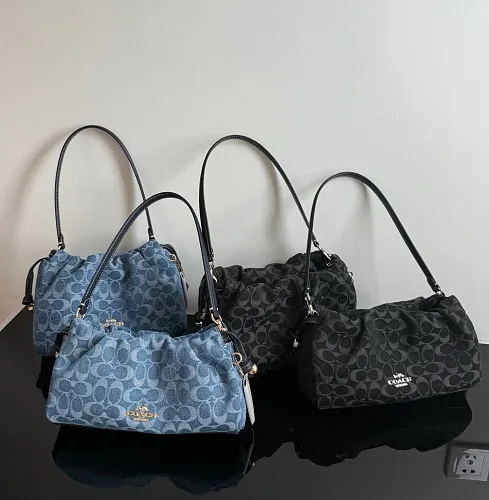 All Categories COACH Women's Bags COACH CDB94