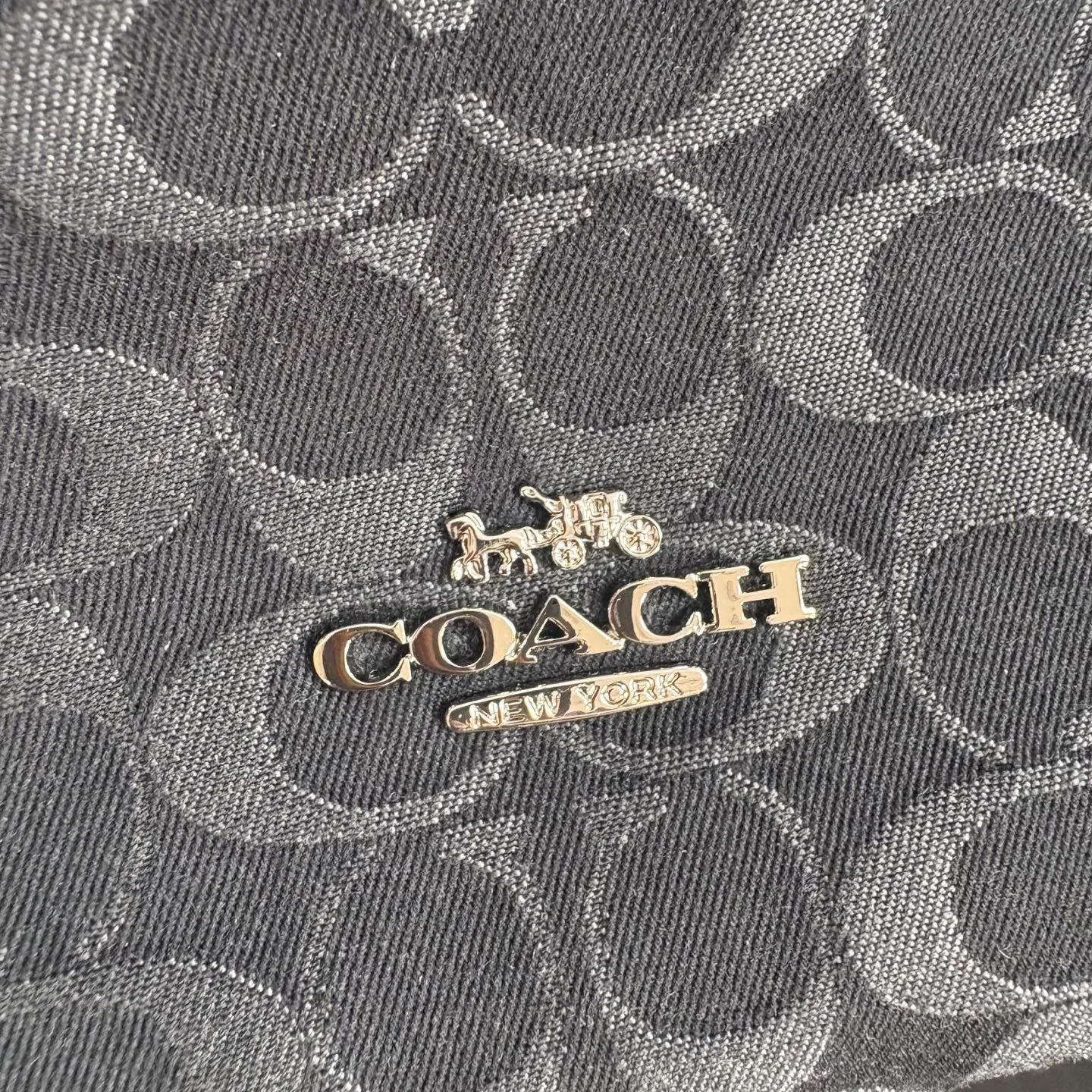 All Categories COACH Women's Bags COACH CDB94