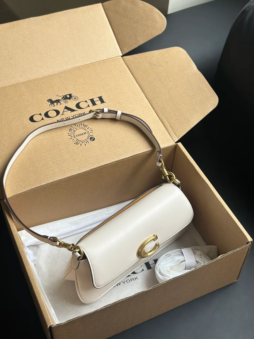 All Categories Official Website "Brand Women's Bags" Women's Bags 💙 COACH 2026 New COACH Underarm Bag
