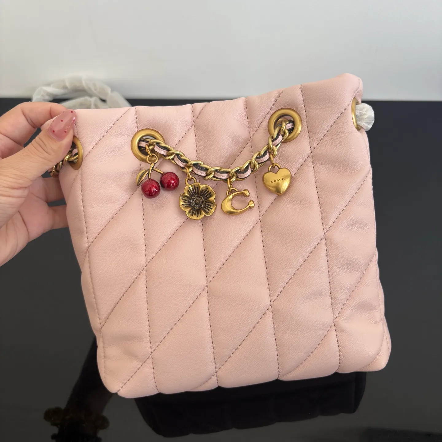 All Categories Coach Women's Bags (COACH) Coach CER87
