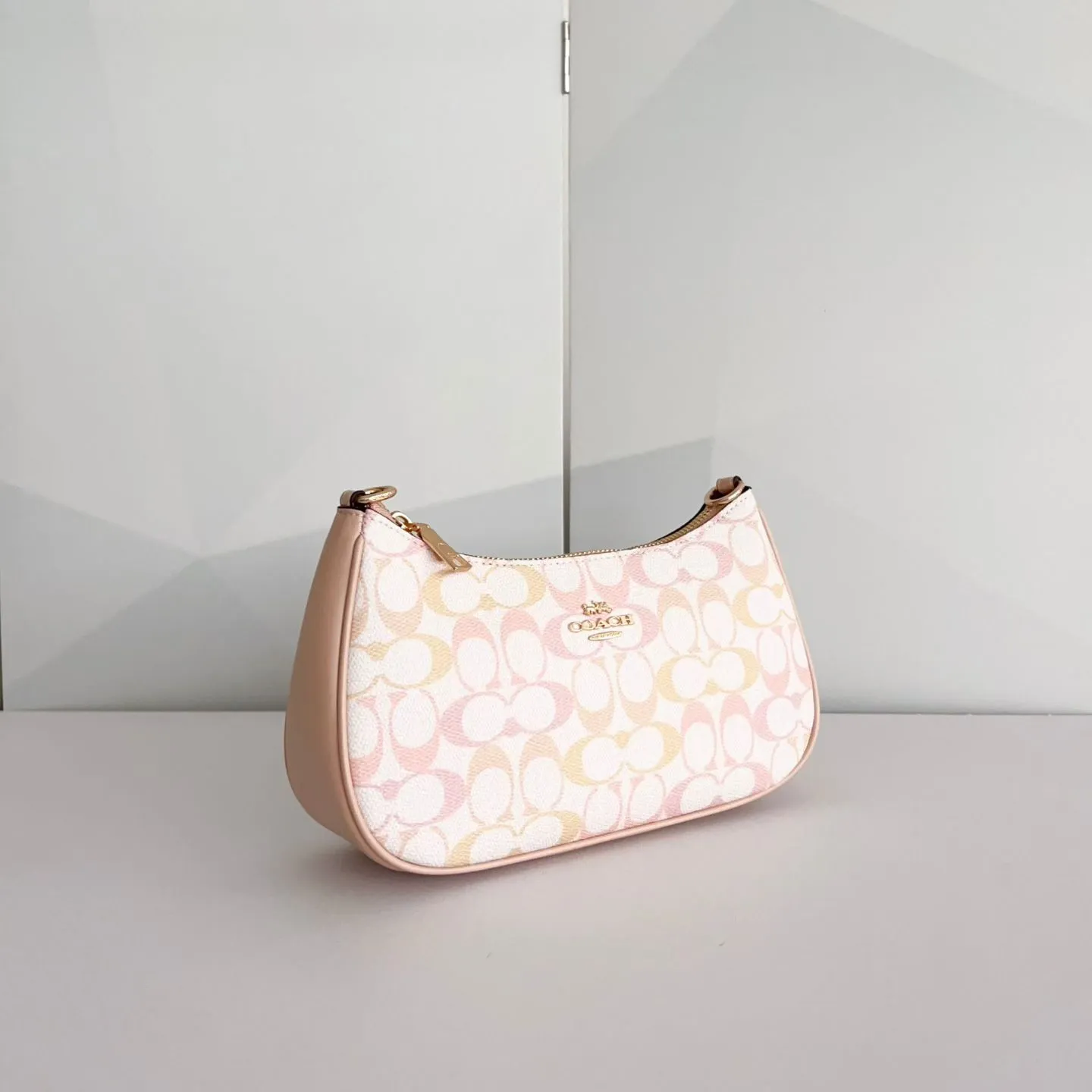 All Categories COACH Women's Bags COACH CDZ05