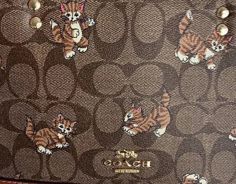 All Categories Coach Women's Bags (COACH) Coach CC424