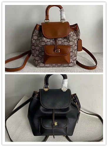 All Categories COACH Women's Bags COACH CH591