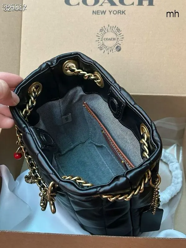 All Categories Coach Women's Bags (COACH) Coach CES62