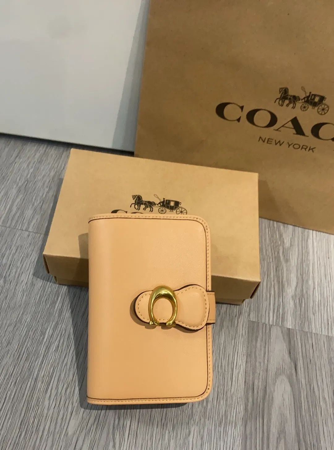 All Categories Coach Women's Bags (COACH) CA193