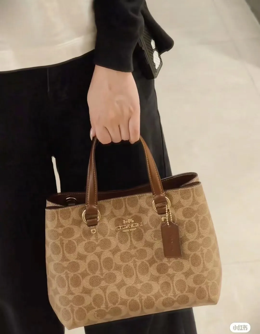 All Categories Coach Women's Bags (COACH) CET29 CET30 CET31