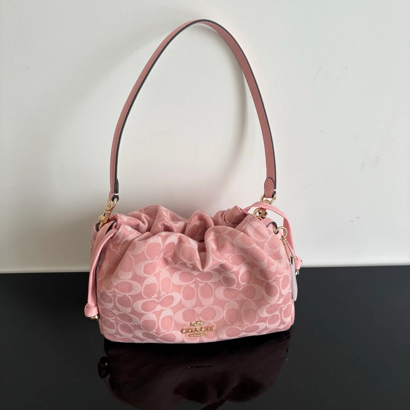 All Categories COACH Women's Bags COACH CDB94