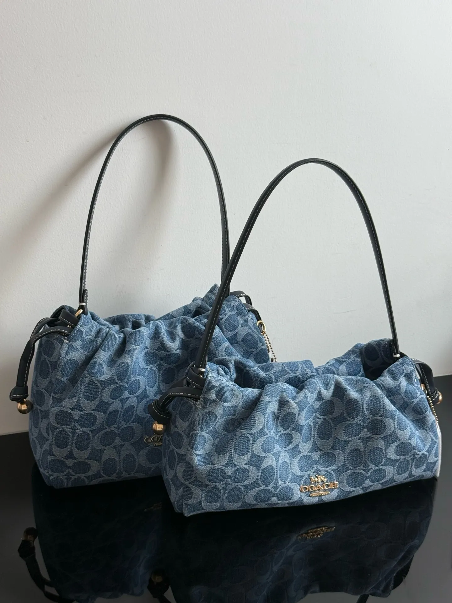 All Categories COACH Women's Bags COACH CDB94