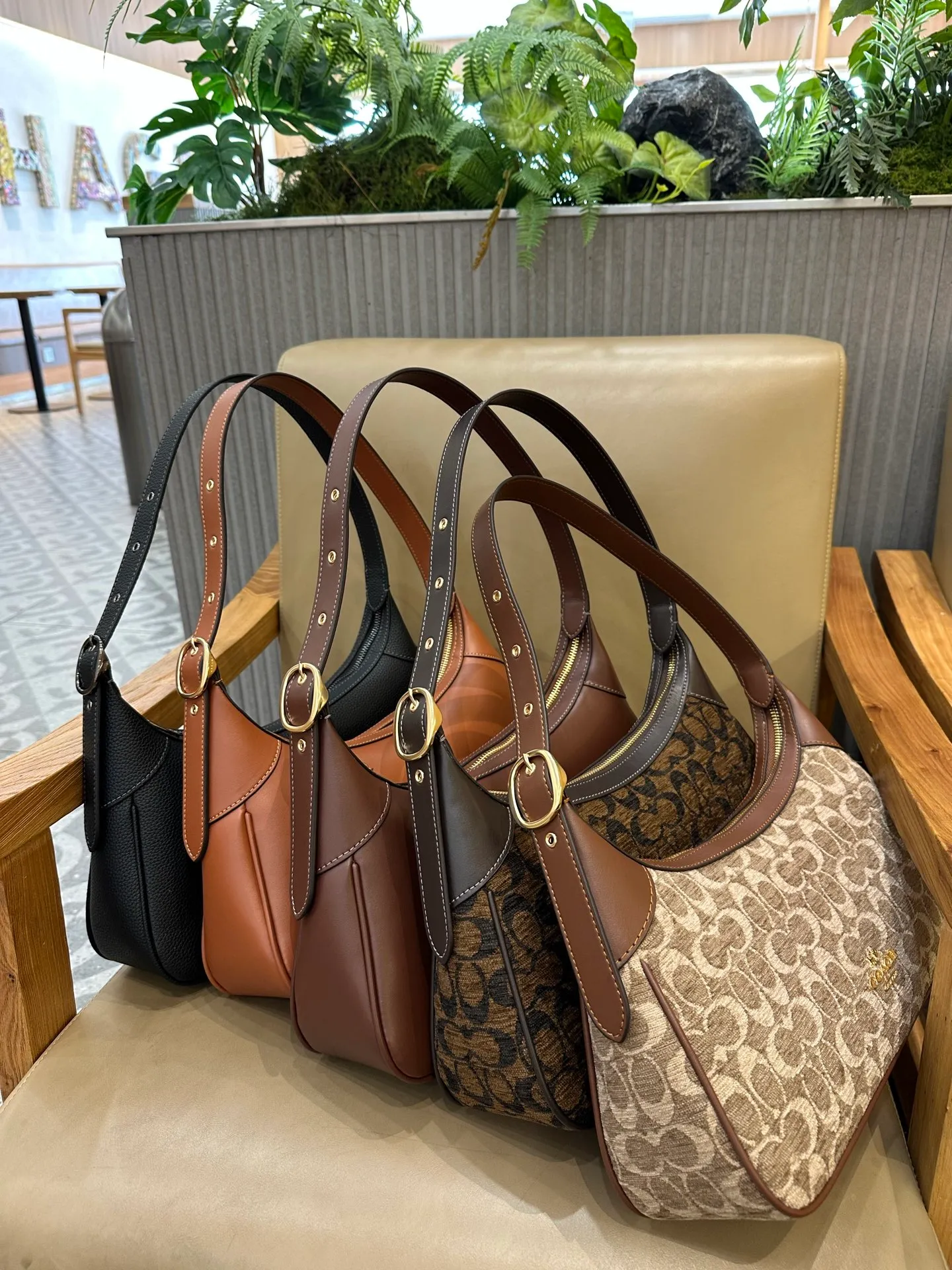 All Categories COACH Women's Bags COACH CDV35