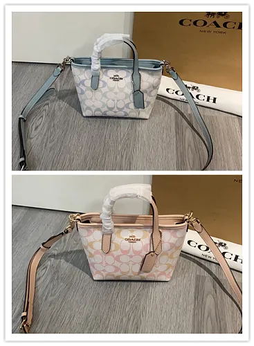 All Categories Coach Women's Bags (COACH) CEK02
