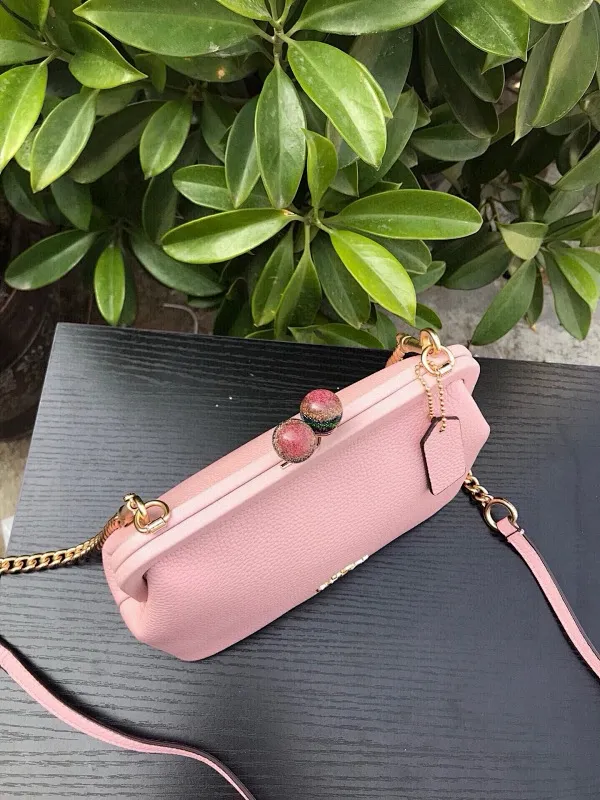 All Categories Coach Women's Bags (COACH) Coach C1451